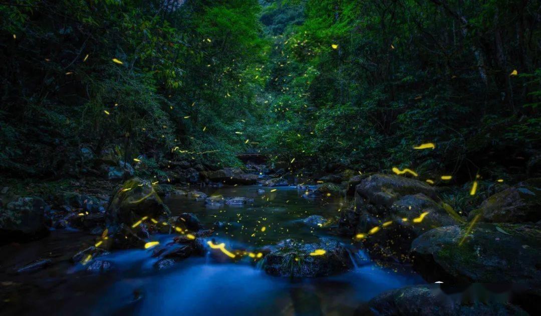 一路骑行一路美景,铜鉴湖单车嘉年华热力开启