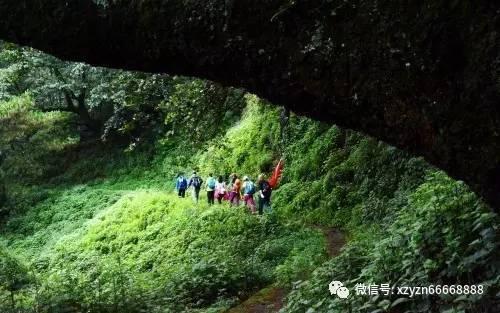 小红帽的冒险之旅
