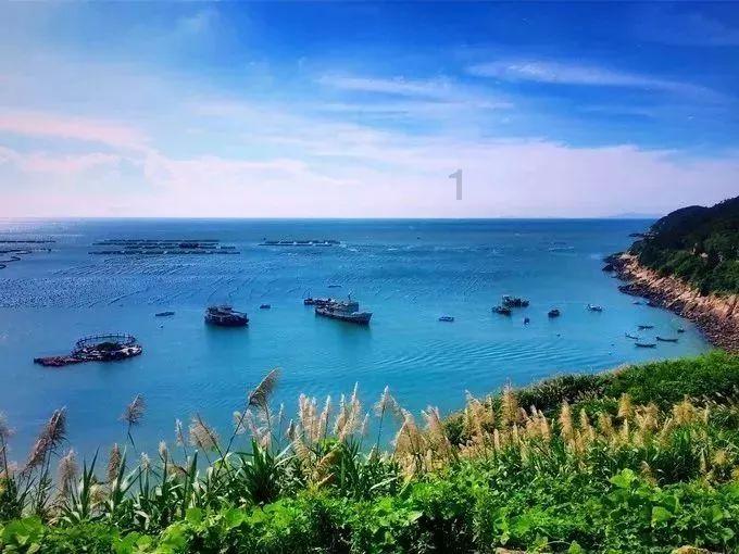 史小坑的爆笑生活11