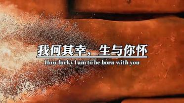 小猫钓鱼游戏龙王版有船
