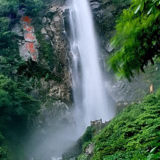大丛林度假村逃生