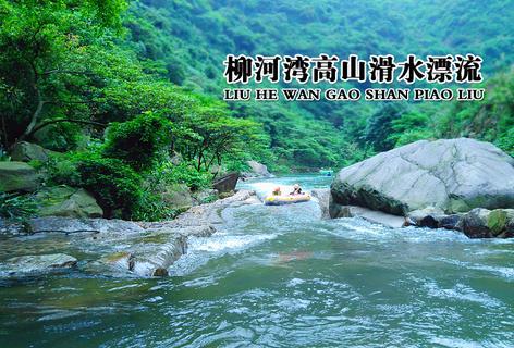 消失一年后的贾玲，再度回归：暴瘦100斤，颜值惊人，我却看哭