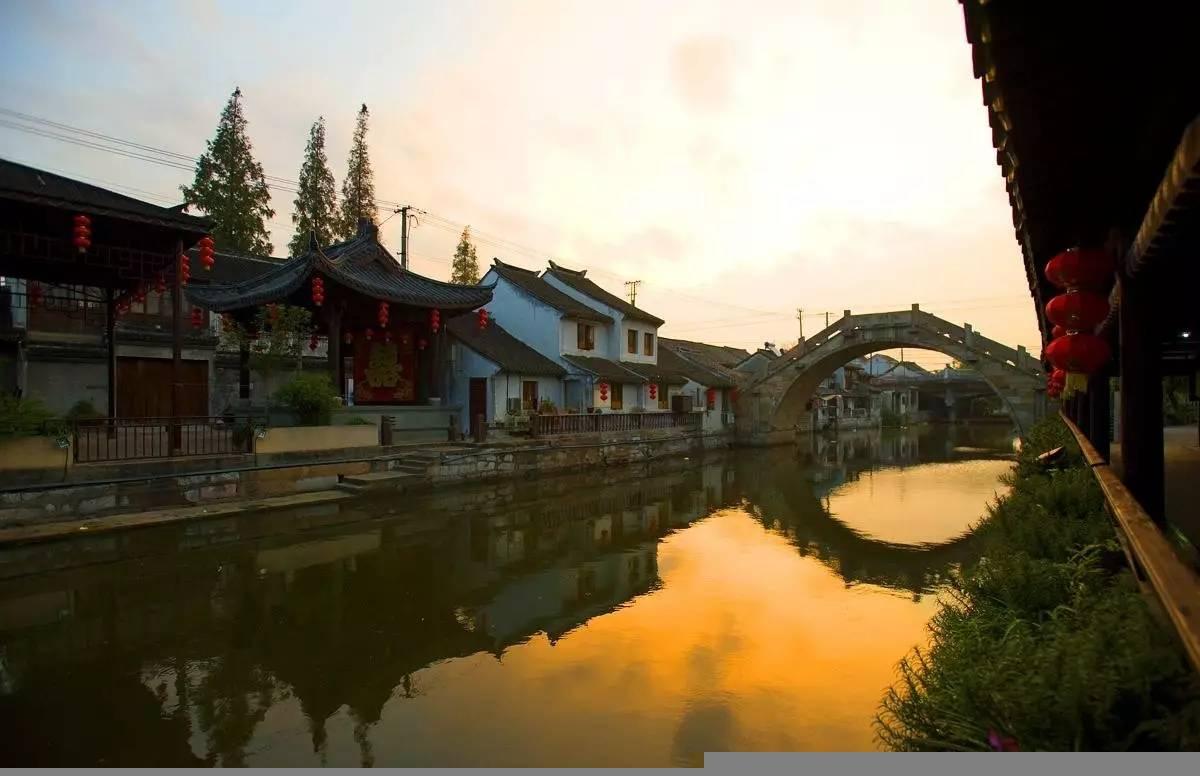 非人学园