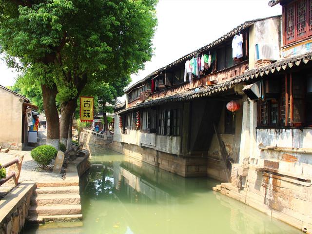植物大战僵尸10