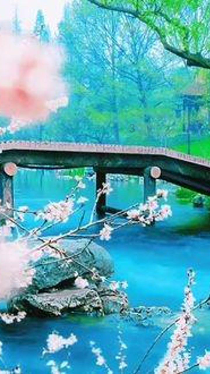 单身狗大作战