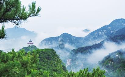 逃离世界杯现场